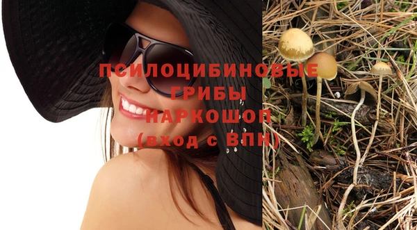 индика Балабаново