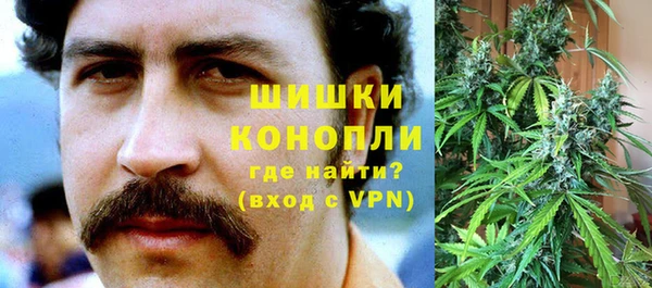 индика Балабаново