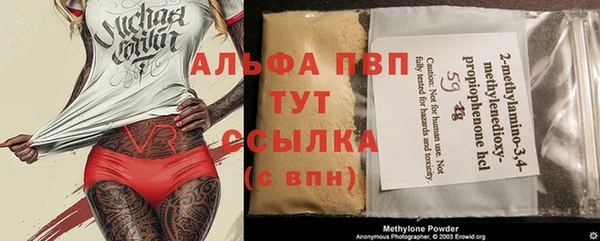 индика Балабаново