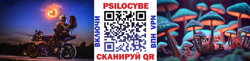как найти наркотики  нарко площадка официальный сайт  Псилоцибиновые грибы Psilocybine cubensis  Бологое 